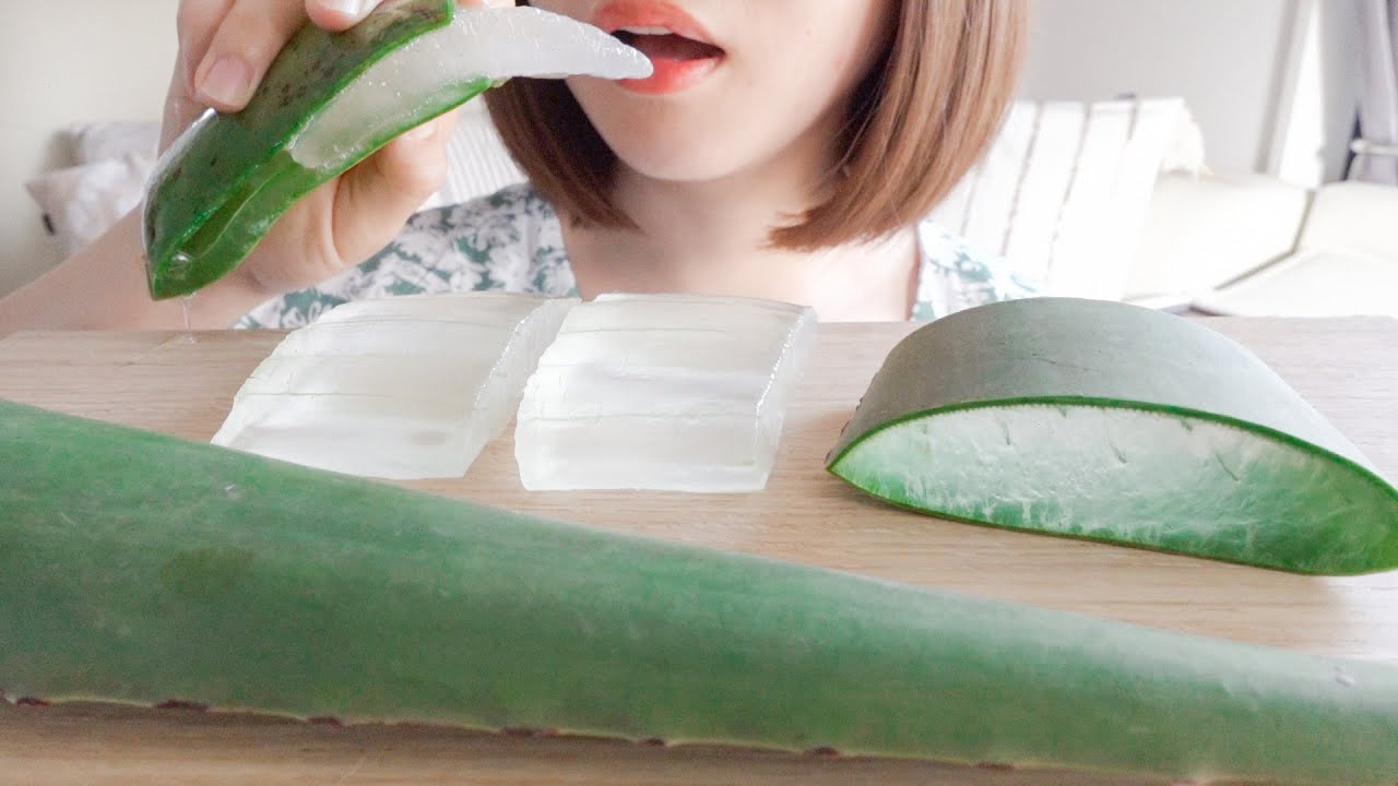 咀嚼音 アロエベラを食べる 切る音あり Asmr Eatingsounds Youtube