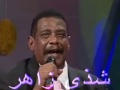 الرشيد كسلا رماد الذكرى شذى زاهر