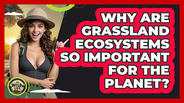 Why Are Grassland Ecosystems So Important For The Planet? - The Wild Life Explorer