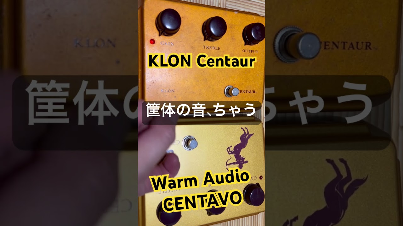 WARM AUDIO CENTAVO ケンタウロス　名器 Warm Audio Centavo and Warmdrive emulate vintage guitar pedals