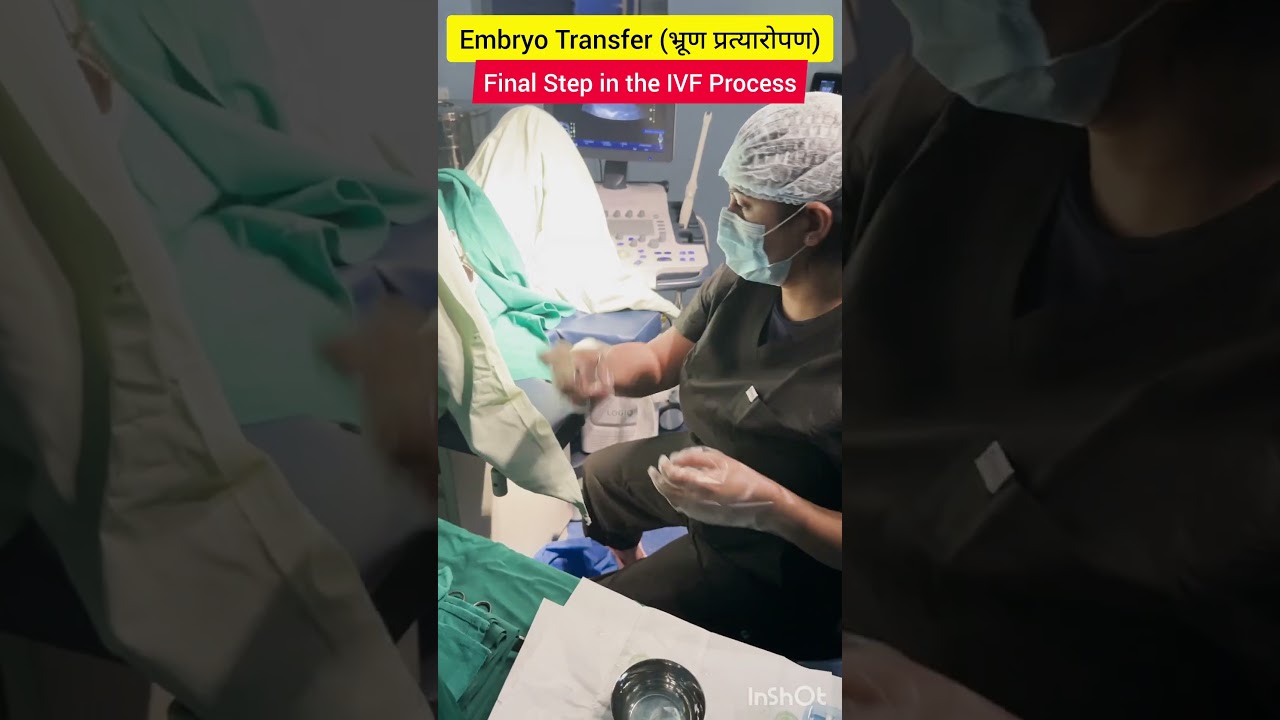 Complete Embryo Transfer process in IVF 