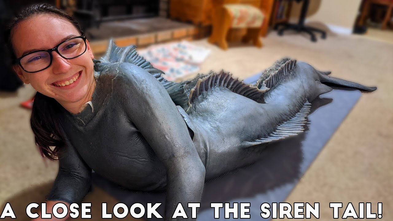 Я купил хвост сирены