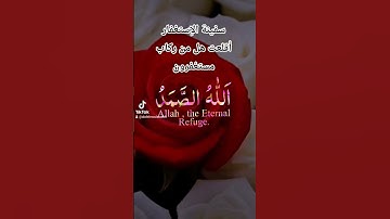 سورة الإخلاص التي تعادل ربع القرآن الكريم#القرآن_الكريم #اكسبلور #سورة_الإخلاص