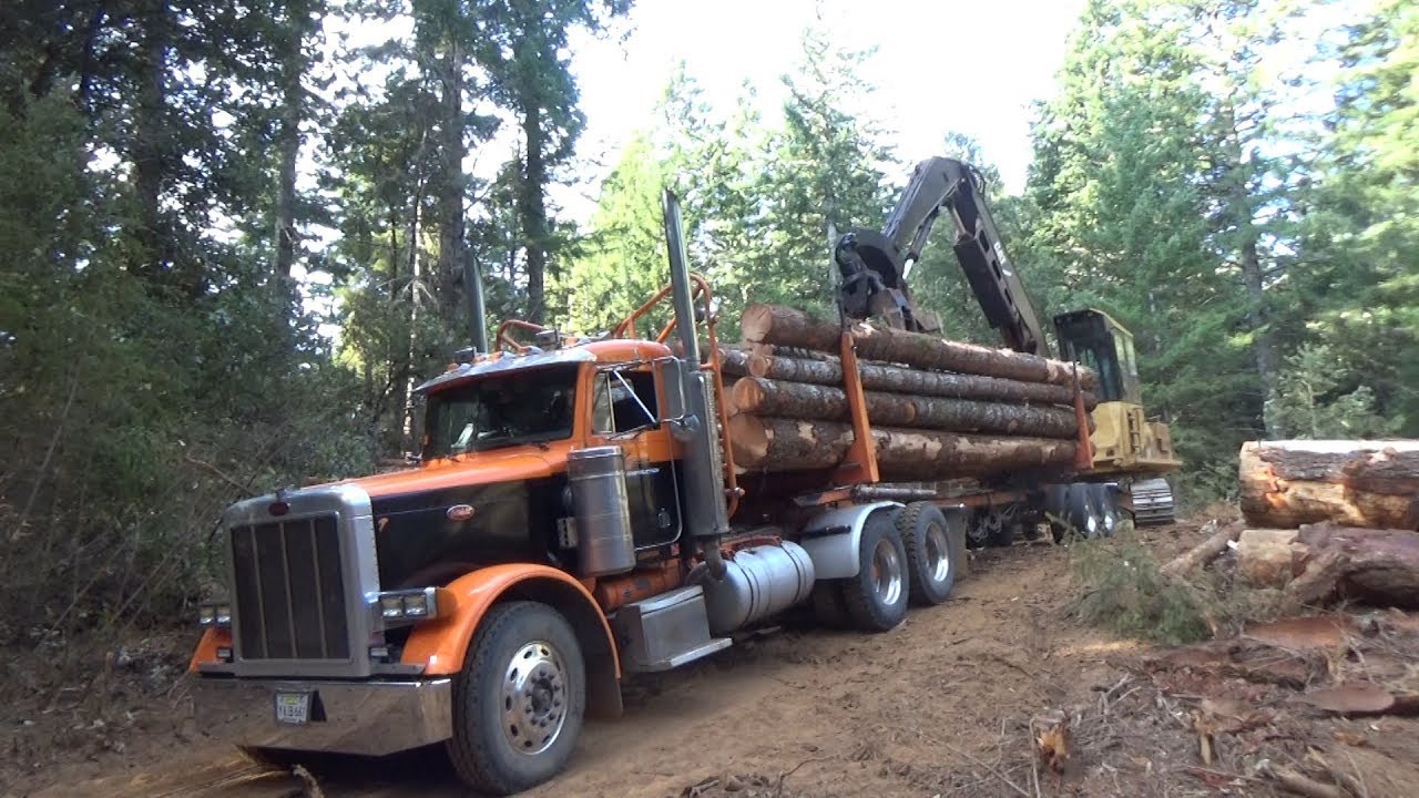 Jan takes on a long haul