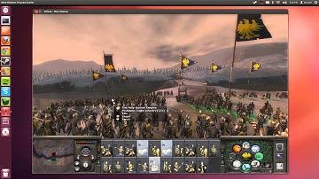 Ubuntu 12.04 Medieval 2: Total War