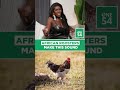 African Roosters Make This Sound | One54 Africa Podcast