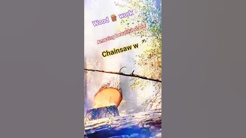 Dropping A Big Tall tree Stihl chainsaw #tree #treecutting #fall #shortsfeed #shorts #forest