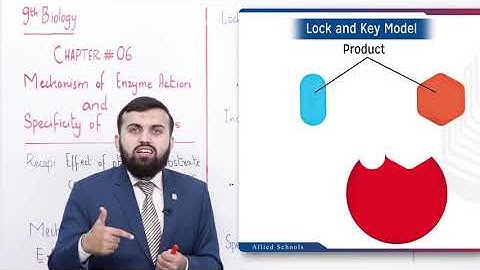 Class 9 - Biology - Chapter 6 - Lecture 5 - Mechanism of enzyme action - Allied Schools
