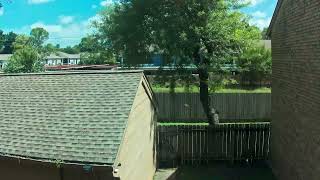Backyard Timelapse 20260617