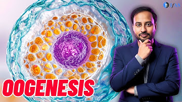 Oogenesis - Gametogenesis - Meiosis - Unit 2 - CSIR Dec 2025 | Emotion 6.0 | L03 | IFAS