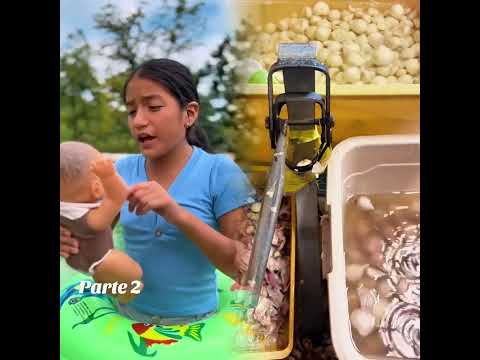 Fyp Tiktok Funny Foryou Viral Foryoupage Xyzbca Pov 