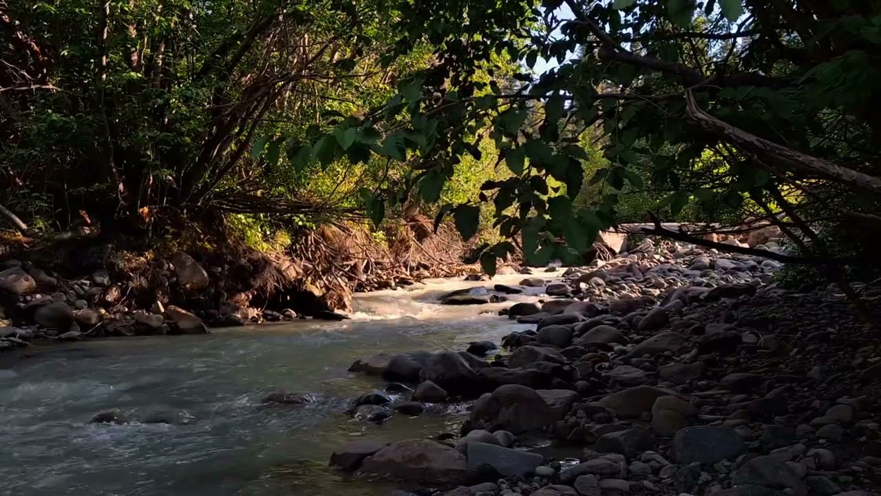 Woodland River (One Hour Of Uninterrupted Nature Sounds)
