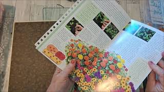 Part 2  Glue book tutorial  Starting to add on to the pages