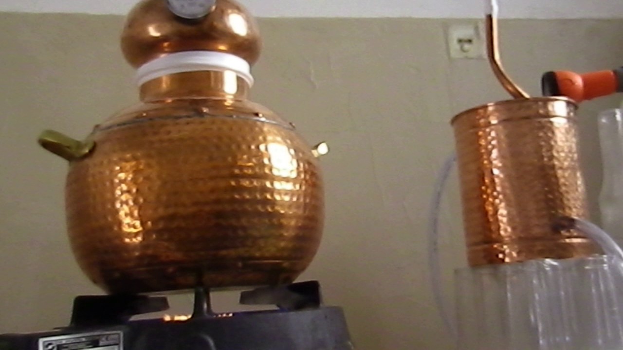 Distillation Rose YouTube