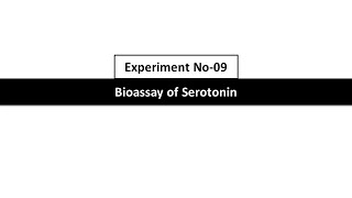 11_Bioassay of Serotonin using Rat Fundus Strip by Three Point Bioassay_Expt No-09