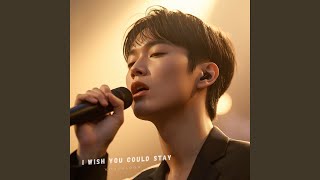 I Wish You Could Stay