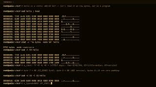 Details Machine Code on an Amber Unix Terminal — ELF Bytes, xxd & objdump · 8 Hours · Keyboard + Drone Update