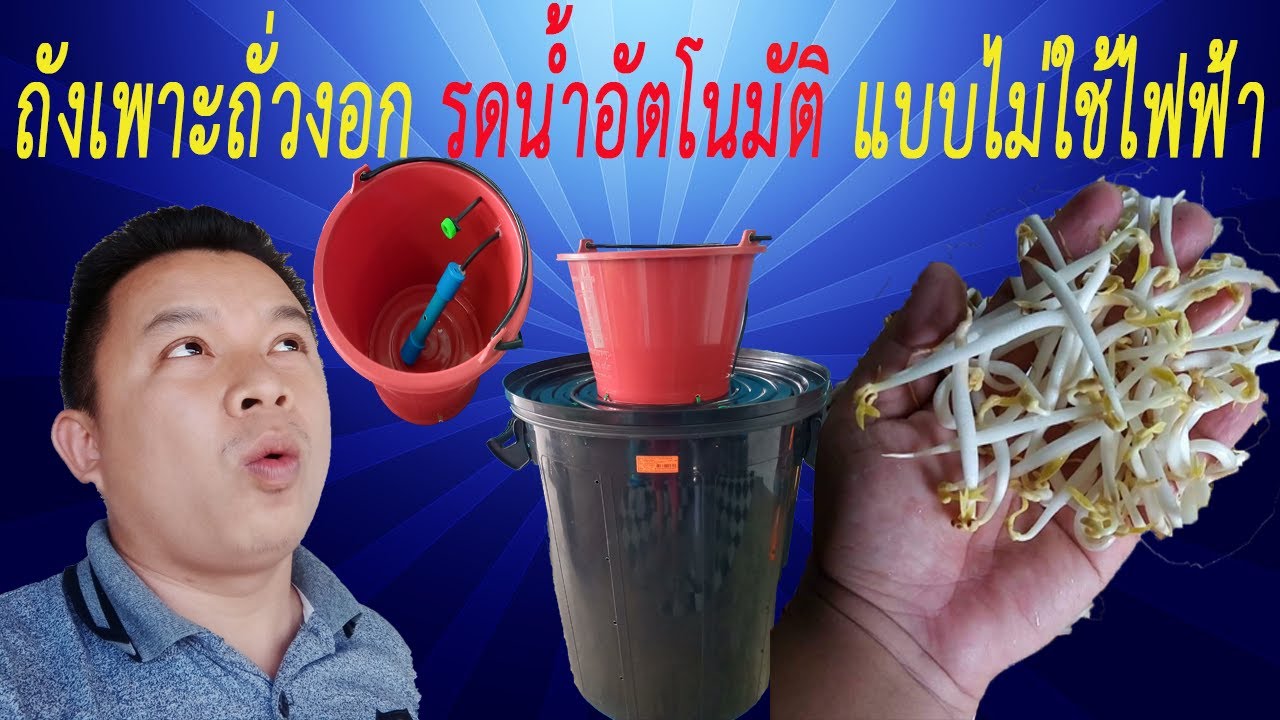 ชุดเพาะถั่วงอกแบบรดน้ำอัตโนมัติโดยไม่ใช้ไฟฟ้า