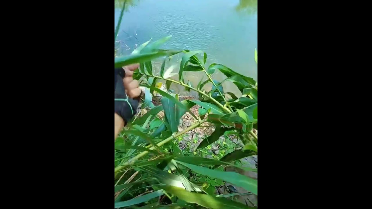 Outdoor fishing activities