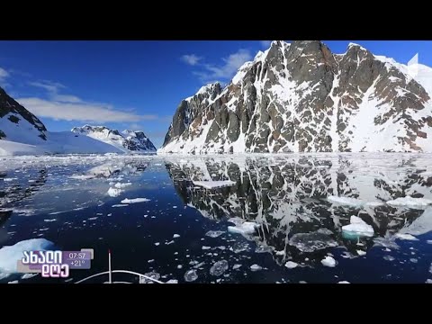 #ახალიდღე​ ანტარქტიდის წყალქვეშ არსებული ფარული სამყარო