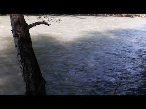 შავი არაგვი