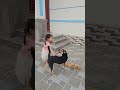 playing with my dog #animals#love #family #run