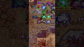Tibia - INSANE 10.5KK RAW EXP | Monk 900+ Team Hunt