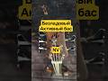 Безладовый Активный бас NV