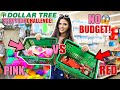 DOLLAR TREE PINK VS RED NO BUDGET SHOPPING CHALLENGE!