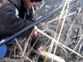 ловля щуки на живца на Ставрополье
