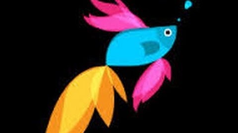 How to Install windows 8.1 with out installing windows 8