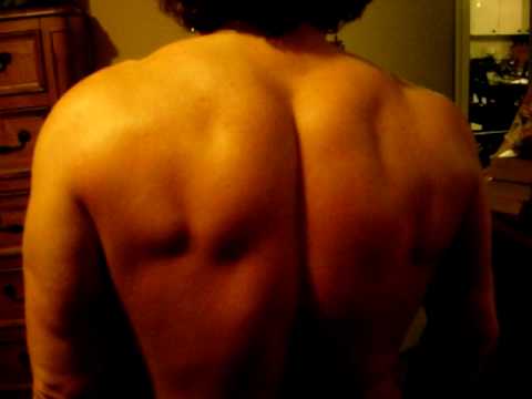 Christine Marshall back/traps