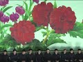 북한 평양, 수영선수 '칼군무' 갈라 선보여 Swimmers perform in synchronized swimming gala in Pyongyang