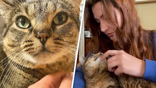 Feral cat melts in her new mom's arms