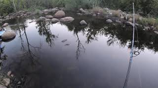 Fishing kaweah River three rivers CA