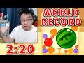 Suika game new world record watermelon 220