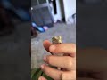 Use this sound