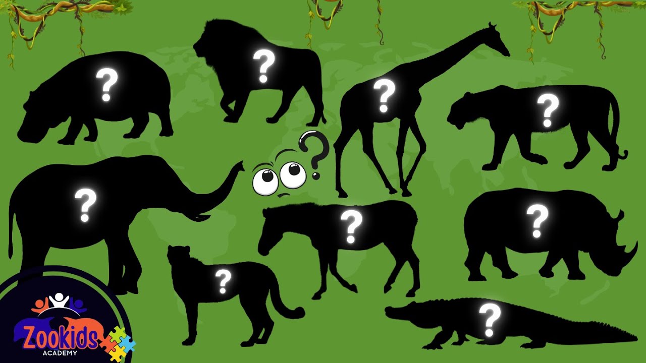Apprenez des noms et regarder des vidéos d'animaux sauvages pour les enfants - Safari Animal Puzzle