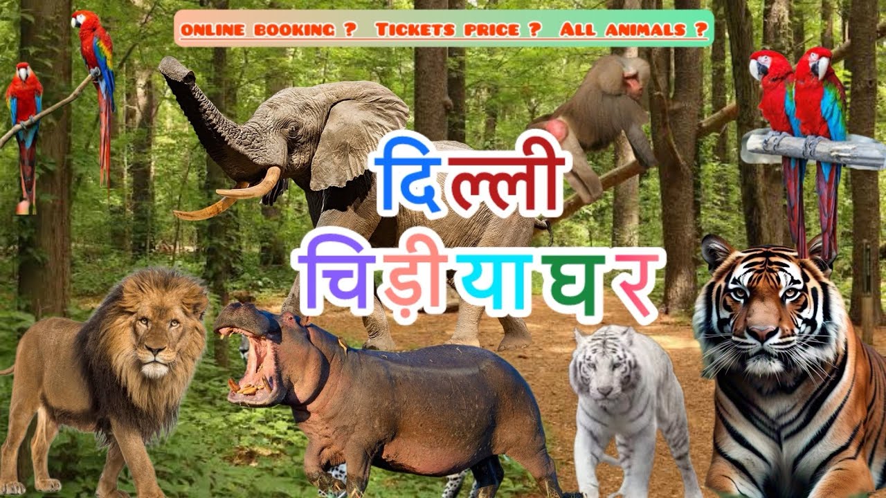 National Zoological Park Finally Reopens After 2 Month Lockdown due to bird flu | Delhi Chidiyaghar 