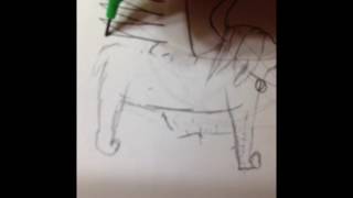 Pokémon speed draw
