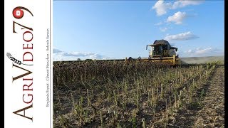 MOISSON DE TOURNESOL 2017 EN CHARENTE-MARITIME