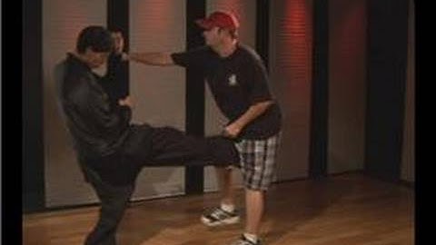 Kung Fu Fighting : Praying Mantis Outside Forearm Block Groin Kick