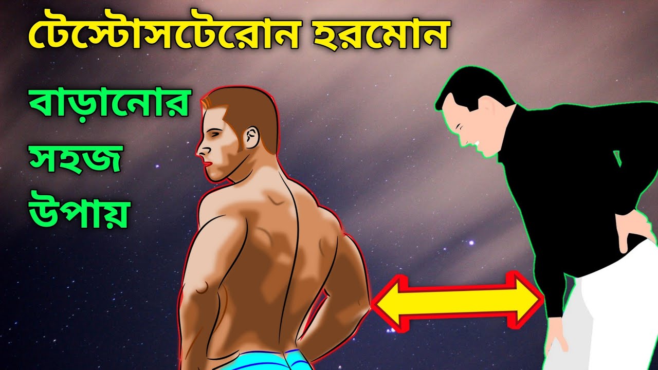 টেস্টোস্টেরোন বাড়ানোর খাদ্য। Testosterone Booster Foods Bangla। YouTube
