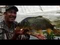 Pesca de grandes carpas en el río y saludos