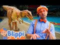 Blippi vs. Stanley: Dino Duel! 🦕😂 | BLIPPI| Kids TV Shows | Cartoons For Kids | Fun Anime