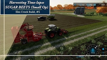 Gopper Farms Elm Creek, #5 || SUGAR BEET Harvest, Small Operation (Timelapse, FS22)