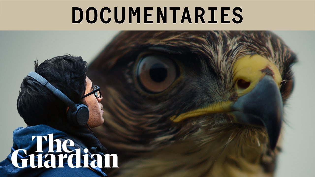 Skyward: birdwatching is belonging for two teenage conservationists