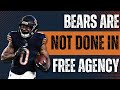 Bears still PRIMED to Swing BIG after Swift Signing
