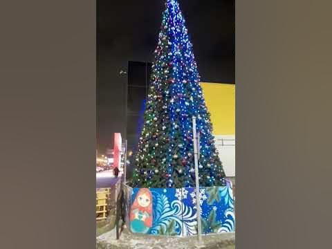 🌲🌲🌲Санкт-Петербурге уже некоторых местах стаять красивый ёлки. город ...