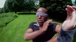 Wing Chun Tai Chi Internal Boxing Methods screenshot 1